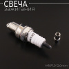 Свеча RCJ7Y M10*1,0 12,0mm "CHAMP" (MOQ 10шт)