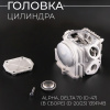 Головка цилиндра Alpha, Delta 70 (Ø47) (в сборе) (d=20/23) 139FMB "BEEZMOTO"