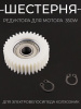 Шестерня редуктора для мотора 350W (H=12, P5, 38*12mm, 36 зубьев, пластиковые, 608Z) электровелосипедов (колхозник) "BEEZMOTO"