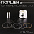 Поршень 139FMB Alpha, Delta 50 .STD (Ø39,00) "BEEZMOTO"