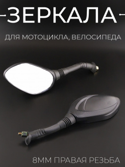 Z-0842