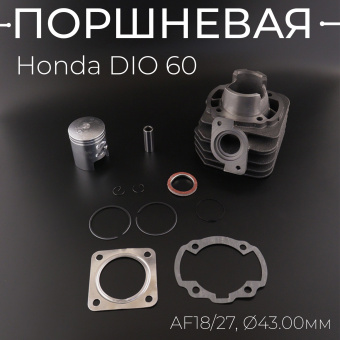 10156304-23