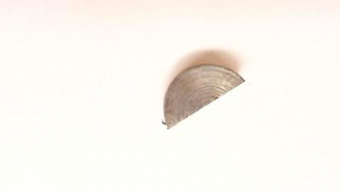 K-7596